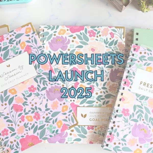 PowerSheets Launch 2025