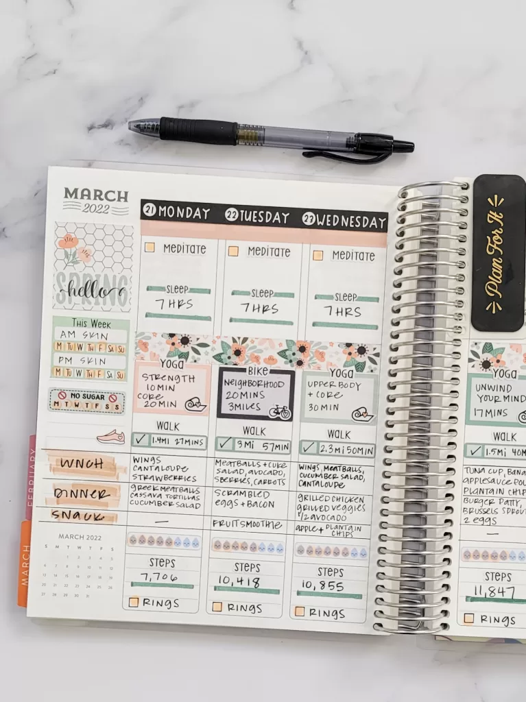 How to choose the best planner layout Erin Condren Vertical LifePlanner example for health and fitness planning